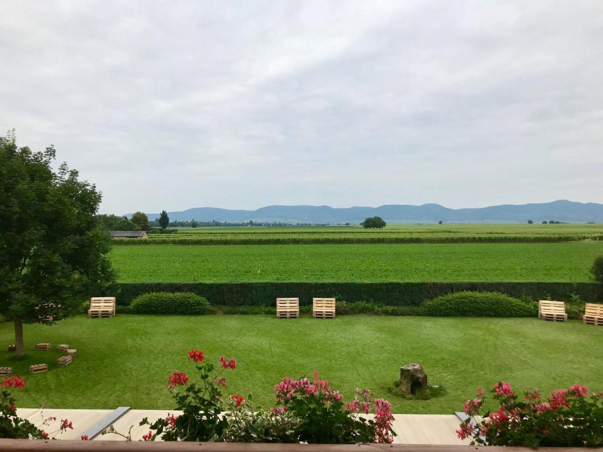 Gaestehaus Vinetum Altdorf  Экстерьер фото